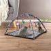 Cat Activity Center ? Interactive Play Area for Cats and Kittens with Fleece Mat Hanging Toys and Foldable Design for Exercise or Napping by Petmaker
