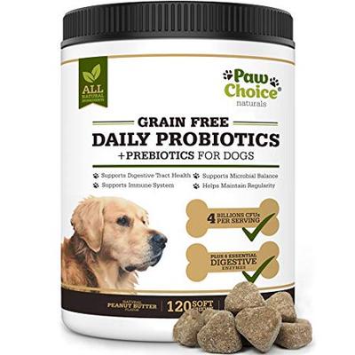 is grain free dog food good for diarrhea