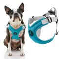 Gooby Memory Foam Step-In Harness - Turquoise Small - Scratch Resistant Harness with Comfortable Memory Foam for Small Dogs and Medium Dogs Indoor and Outdoor use