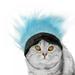 Halloween Dog Cat Wig Pet Supplies Adjustable Collar And Hat For Cats Halloween Dog Cat Wig Headgear