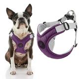 Gooby Memory Foam Step-In Harness - Purple Large - Scratch Resistant Harness with Comfortable Memory Foam for Small Dogs and Medium Dogs Indoor and Outdoor use