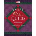 Pre-Owned Amish Wall Quilts : 15 Brilliant and Beautiful Quilts 9781564773968