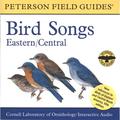 Peterson Field Guide Audios: A Field Guide to Bird Songs (Audiobook)