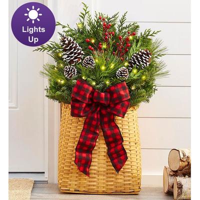 1-800-Flowers Gifts Delivery Evergreen Hanging Basket Evergreen Basket W/ Lights