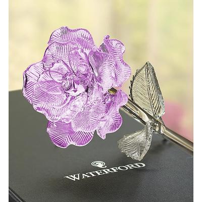 1-800-Flowers Flower Delivery Waterford Glass Rose Lavender Glass Rose