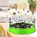 Drosophila Fly Trap Round Trap with Lid for Kitchens Restaurants Farms Markets