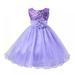 little Girls Cinderella Lace Princess Dress Pageant Ball Gowns Kids Tulle Flower Girls Dresses