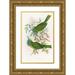 John Gould 13x18 Gold Ornate Wood Frame and Double Matted Museum Art Print Titled - Blue-Throated Nyctiornis (1850-1883)
