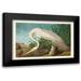 Audubon John James 24x17 Black Modern Framed Museum Art Print Titled - Pl 386 White Heron