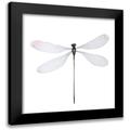 Atelier B Art Studio 15x15 Black Modern Framed Museum Art Print Titled - MINIMALIST DRAGONFLY