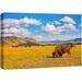 wall26 Canvas Print Wall Art Montana Mountain Cloudy Valley Bison Buffalo Nature Animals Photography Realism Rustic Scenic Landscape Wilderness Zen Colorful for Living Room Bedroom Office - 16 x24
