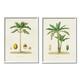 Stupell Industries Minimal Green Palm tree Coconuts Diagram Illustration Drawings White Framed Art Print Wall Art Set of 2 16x20 by World Art Group