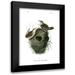 Audubon John James 12x14 Black Modern Framed Museum Art Print Titled - Short-billed Marsh Wren