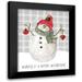 Robinson Carol 20x24 Black Modern Framed Museum Art Print Titled - Farmhouse Christmas Snowman I