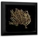 Wilson Aimee 20x20 Black Modern Framed Museum Art Print Titled - Gold Coral II