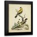 Edwards George 15x18 Black Modern Framed Museum Art Print Titled - Edwards Bird Pairs III