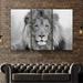 3 Panel Canvas Wall Art Blue Eyes Wild Animals Lion Black White Lion King Wall Paintings Canvas Poster for Wall Decor for Men Living Room Bedroom with Wooden Frame Ready to Hang 16*24inch*3pcs