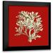 Vision Studio 12x12 Black Modern Framed Museum Art Print Titled - Small Coral on Red IV