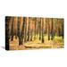 Design Art Beautiful Pine Forest at Sunset Photographic Print on Wrapped Canvas