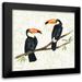 Sussman Harriet 12x12 Black Modern Framed Museum Art Print Titled - Tropical Fun Bird I Flower Background