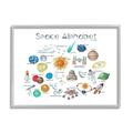 Stupell Industries Outer Space Educational Alphabet Kids Learning Chart Graphic Art Gray Framed Art Print Wall Art Design by Dishique