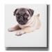 Epic Graffiti Cute Pug Puppy by Edward M. Fielding Giclee Canvas Wall Art 18 x18