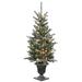 The Holiday Aisle® 4 Ft. Snowy Morgan Spruce Entrance Tree w/ Twinkly LED Lights | 1.92 W x 9 D in | Wayfair D40BC6EB5C654376B81E58105A2C6CFC