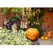 The Holiday Aisle® Metal Cat Garden Stake Metal in Black/Brown | 20 H x 12 W x 1 D in | Wayfair 455A3825329A450098C65874C781C45B