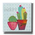 Epic Graffiti Southwest Cactus I by Courtney Prahl Giclee Canvas Wall Art 12 x12