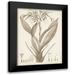 Vision Studio 15x18 Black Modern Framed Museum Art Print Titled - Sepia Exotic Plants VII