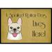 Carolines Treasures French Bulldog Spoiled Dog Lives Here Indoor & Outdoor Mat 24 x 36 in.