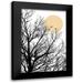 Urban Epiphany 17x24 Black Modern Framed Museum Art Print Titled - Two Little Birds 2