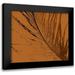 Vision Studio 17x15 Black Modern Framed Museum Art Print Titled - Feathered Impression II