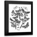 Wild Apple Portfolio 12x14 Black Modern Framed Museum Art Print Titled - Butterfly Bouquet IV Linen BW IV