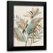 Jensen Asia 17x24 Black Modern Framed Museum Art Print Titled - Vintage Tropics II