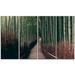 Design Art Bamboo Grove in Arashiyama Panorama 4 Piece Graphic Art on Wrapped Canvas Set