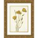 Mary Vaux Walcott 18x24 Gold Ornate Framed and Double Matted Museum Art Print Titled - San Diego Mariposa. Calochortus Weedii (1925)