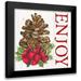 Reed Tara 20x20 Black Modern Framed Museum Art Print Titled - Home for the Holidays Enjoy Pine cone