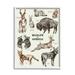 Stupell Industries Wildlife In America Various Animals Detailed Illustrations Chart Framed Wall Art 11 x 14 Design by Lil Rue