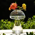 Vase en verre en forme de pièce plus lente joli vase de plantes hydroponiques transparentes verre