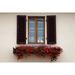Italy-Radda in Chianti Flower boxes with red geraniums below a window with shutters Poster Print - Julie Eggers (24 x 18)