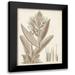 Vision Studio 19x24 Black Modern Framed Museum Art Print Titled - Sepia Exotic Plants II