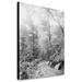 Canvas Print: Road On Toxaway Mt. Sapphire North Carolina circa 1902