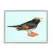 Stupell Industries Black Orange Bird Wearing Rubber Clogs Visor Graphic Art Gray Framed Art Print Wall Art Design by Amelie Legault