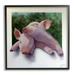 Stupell Industries Sweet Cuddling Pigs Sentimental Farm Animal Portrait Painting Black Framed Art Print Wall Art Design by Alan Weston