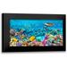 Pangea Images 24x14 Black Modern Framed Museum Art Print Titled - Sea Turtle and fish- Maldivian Coral Reef