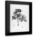 Carlson Tina 13x18 Black Modern Framed Museum Art Print Titled - Botanical Eclipse 1