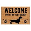 Dogs Welcome People Tolerated Doormat 23.6x15.7 Inch Dogs Welcome Door Mat Dogs Welcome Entrance Mat Thick Non-Slip Dogs Welcome Mat Funny Welcome Mat with Dogs Dog Welcome Mat for Front Door