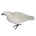 Fuwaxung Artificial Feathered White Doves Standing & Flying Realistic Birds Statues Ornaments for Home Tabletop DÃ©cor Garden Decoy