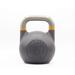 KETTLEBELL KINGS Fitness Edition Competition Kettlebell Weights (55 lbs)